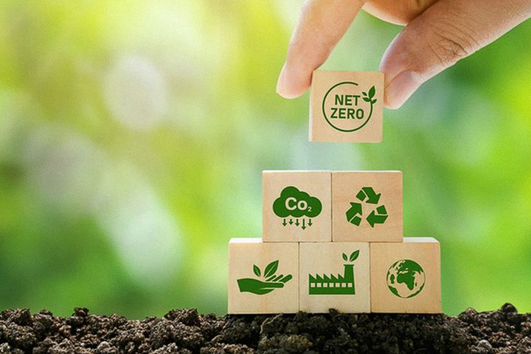 COP-30 terá calendário temático com destaque para ações e soluções climáticas