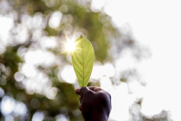 Artigo: o papel-chave da Câmara na liderança brasileira na COP 30