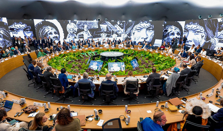 Fundo Florestas Tropicais para Sempre alcança U$ 5,5 bilhões em aportes