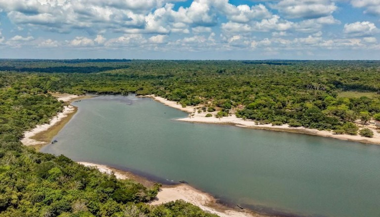 Lula celebra resultados inéditos no combate ao desmatamento