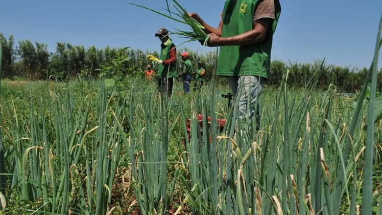 Câmara aprova projeto que dificulta reforma agrária