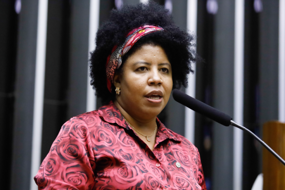 Líder da bancada feminina quer R$ 5 bi para enfrentamento da violência contra mulheres