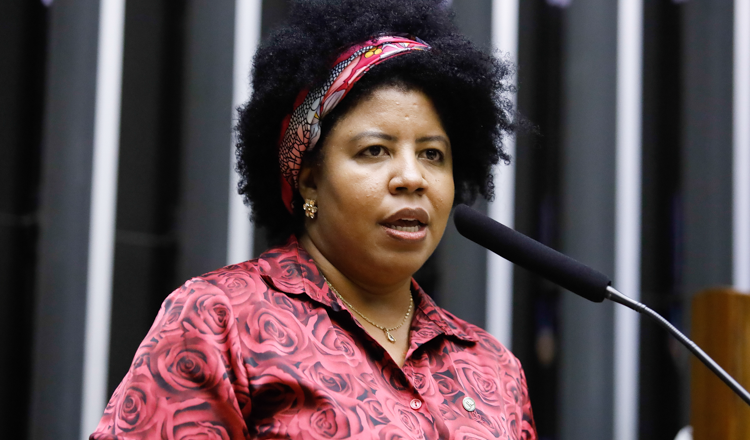 Líder da bancada feminina quer R$ 5 bi para enfrentamento da violência contra mulheres