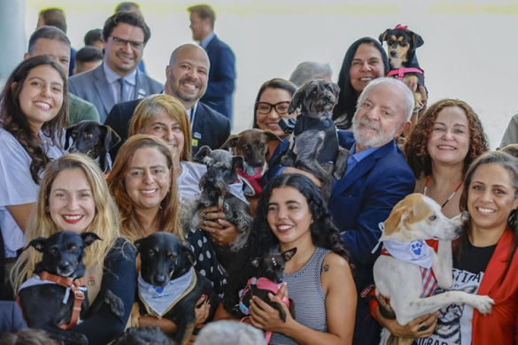 ‘O Brasil do lado das pessoas e dos animais’