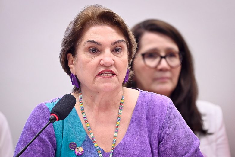 ‘Somos 105 milhões’: ministra leva à Câmara panorama das políticas para mulheres