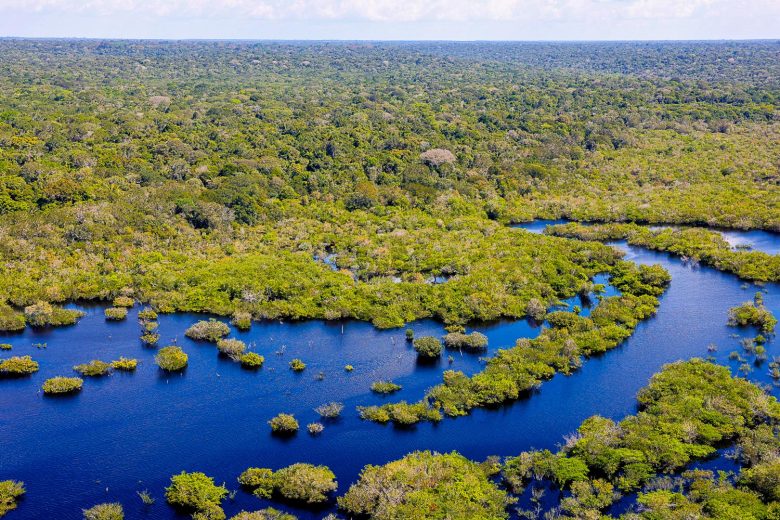 Com Lula, Amazônia registra o menor índice de desmatamento em uma década