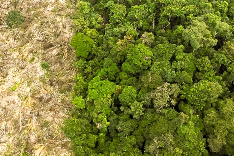 O retrocesso ambiental patrocinado pela extrema direita e ruralistas no Congresso